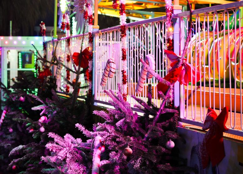 MARCHÉ DE NOËL DU PIRAT PARC