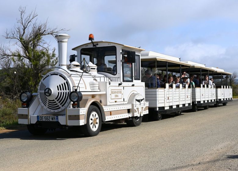 VISITE AVENTURE EN PETIT TRAIN